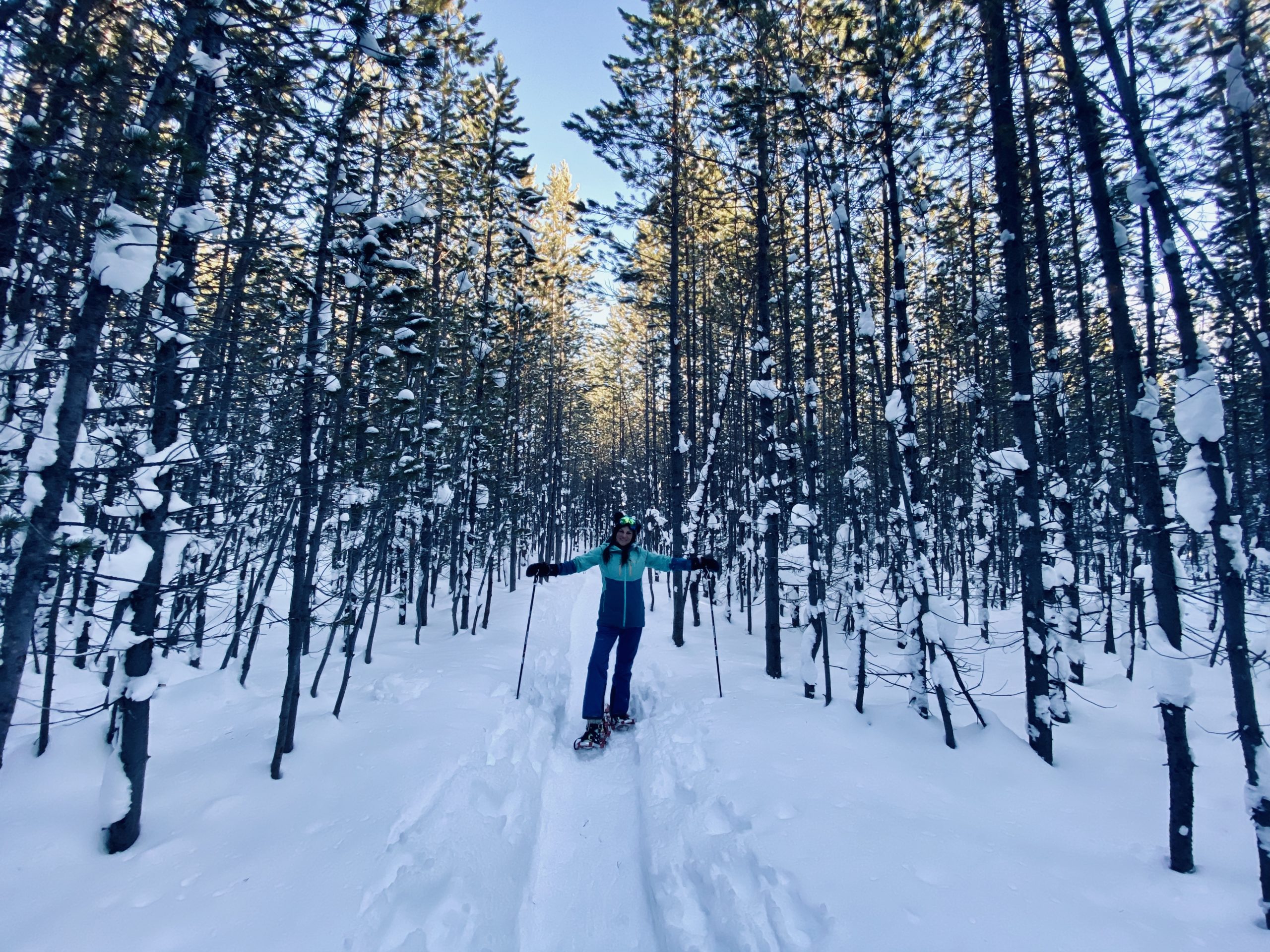 skier in aqua jacket skiing between the trees